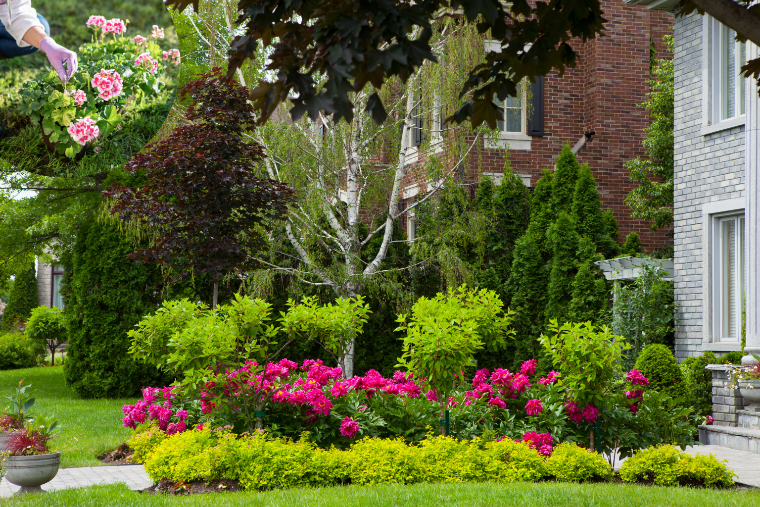 Mini House Garden