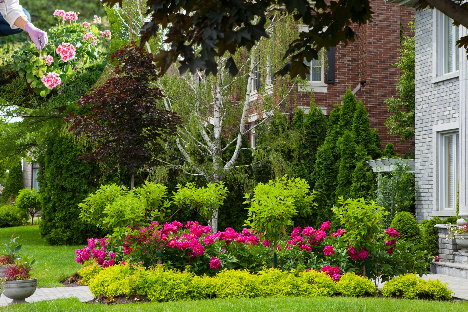 Mini House Garden image