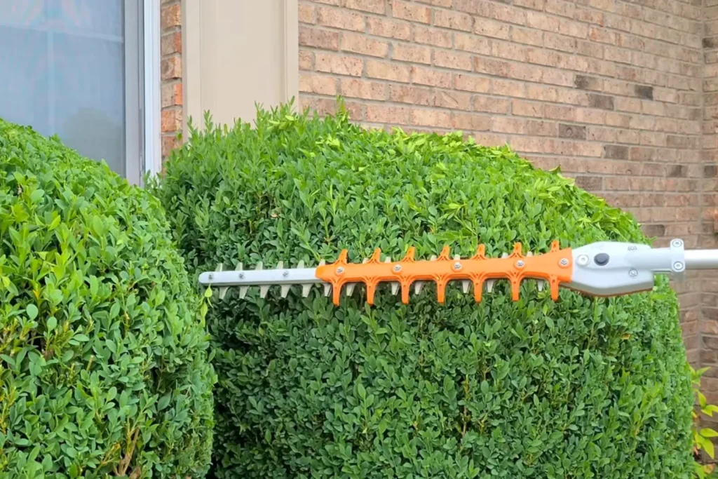 Residential Tree Trimming