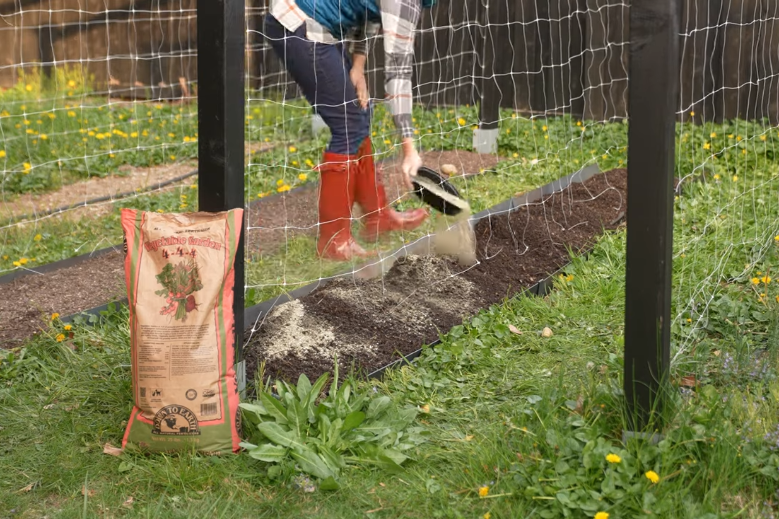 Tree Care Fertilization