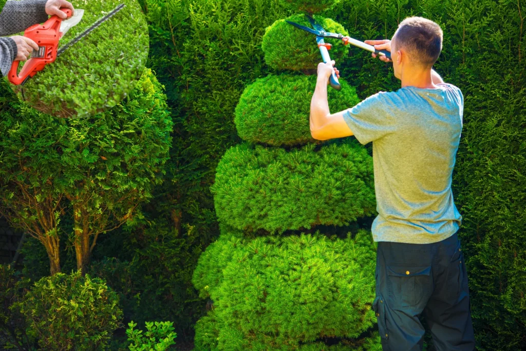 Tree & Shrub Trimming image