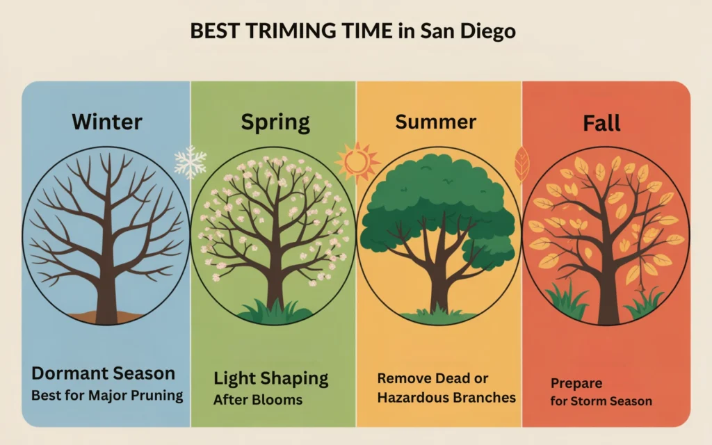 Best Time to Trim Trees image