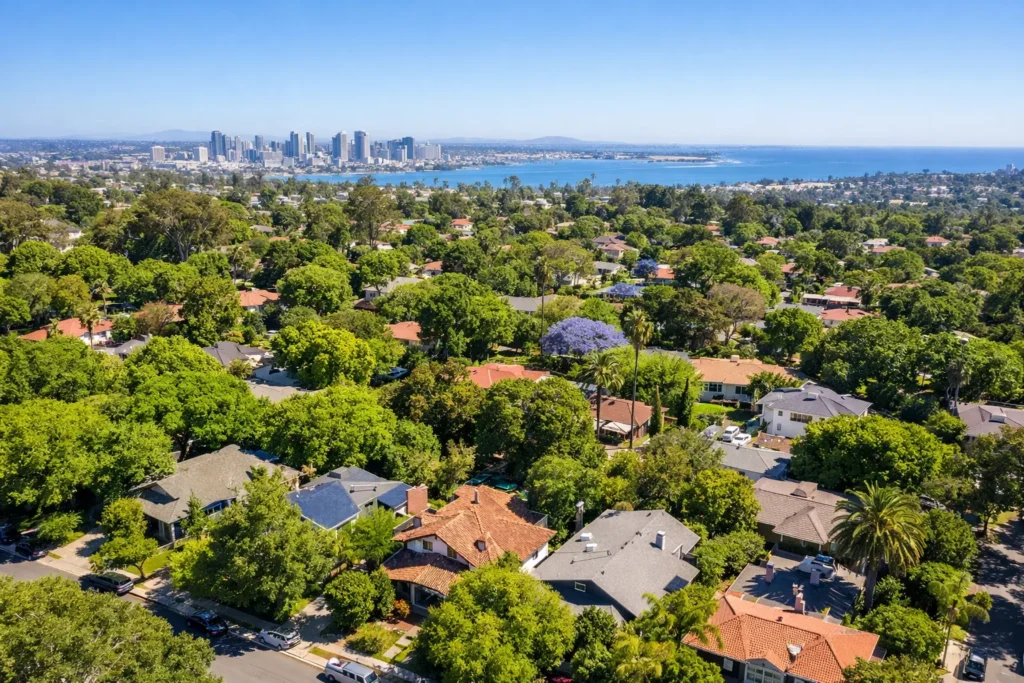 San Diego's Tree Protection Ordinance: What Every Homeowner Must Know 6 The Community Forest Advisory Board